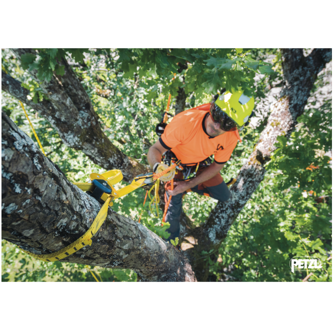 Travaux en hauteur / Accès aux arbres / Module de base