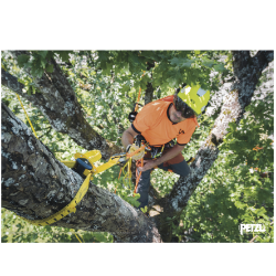 Travaux en hauteur / Accès aux arbres / Module de base