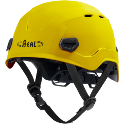 Beal Image